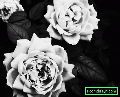 Papel pintado blanco y negro con flores